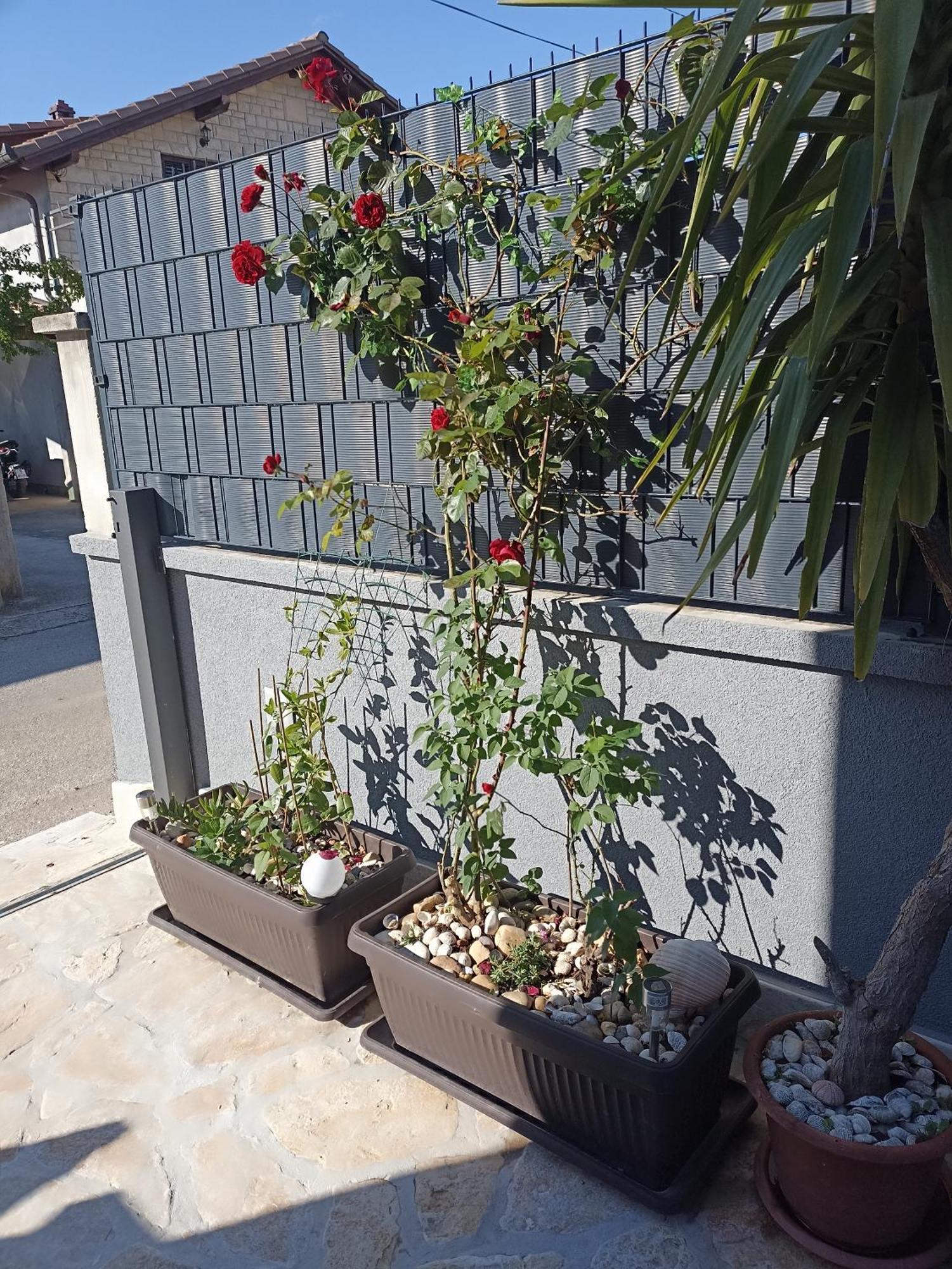 Apartman Lara Zadar Apartment Екстериор снимка
